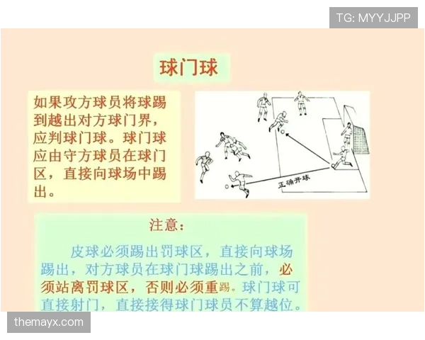 球门球规则详解：判罚标准与执行流程解析